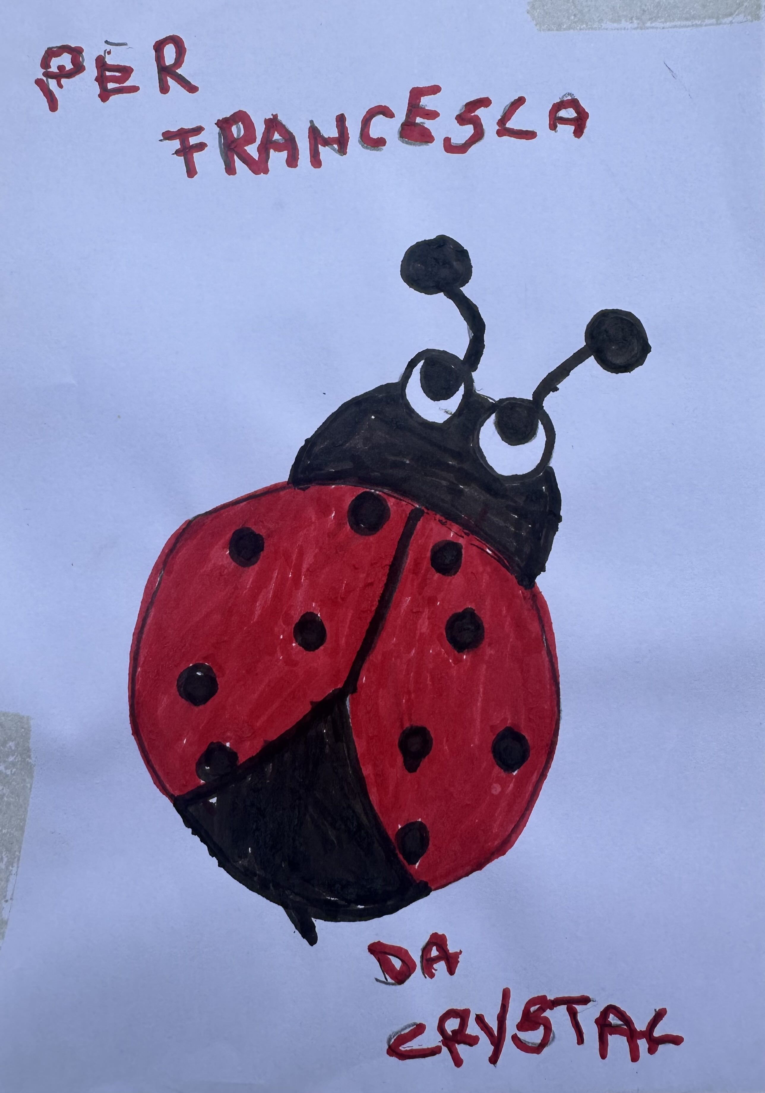 Disegno 1